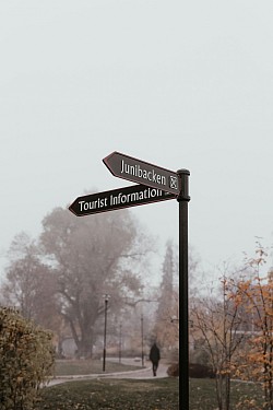 Delivering Info at your Doorstep